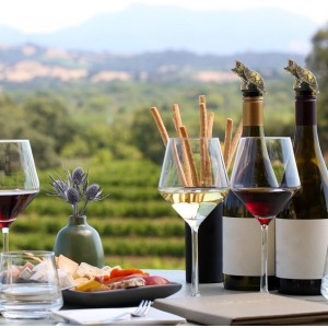 IMIKEYA Sea Turtle Wine Aerator Pourer Spout - Antique Animal Bar Liquors Bottle Pourer Wine Bottle Topper Wine Decanter Creative Wine for Whiskey