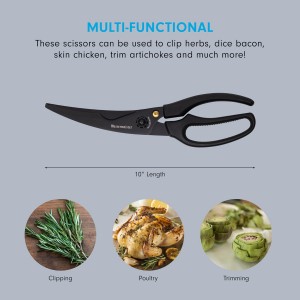 Messermeister 10-Inch Push Button Take-Apart Poultry Shears, Titanium Black - High-Carbon Stainless Steel & Soft-Grip Handles - Includes Nut Cracker & Bottle Opener