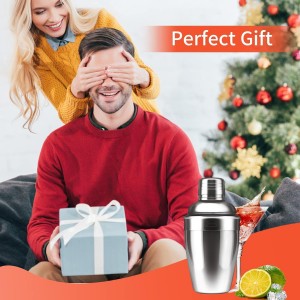 Zrorgons Stainless Steel Cocktail Shaker - Classic Martini Mixer with Built-in Strainer, Perfect for Home Bar or Bartender Gift - Compact and Portable 11.8oz (350ml) Size for Single Martinis