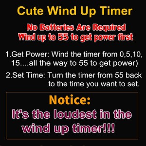 Cute Mushroom Timer for Kids, High Volume Mechanical Kitchen Timer, Wind Up 60 Minutes Manual Countdown Timer for Classroom, Home, Study and Cooking (Green)