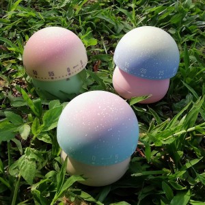 Cute Mushroom Timer for Kids, High Volume Mechanical Kitchen Timer, Wind Up 60 Minutes Manual Countdown Timer for Classroom, Home, Study and Cooking (Green)