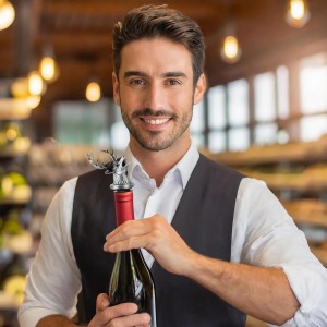 Stainless Steel Deer Wine Aerator Pourer - Deluxe Decanter Spout for Robust Red and White Wine - Pour Amore Bottle Pourer/Stopper & Air Diffuser by Chris's Stuff