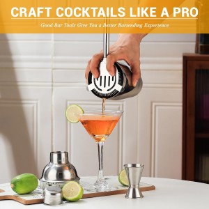 Bartender Kit Cocktail Shaker Set, Stainless Steel Cocktail Kit with 12 Piece Bar Accessories, 25oz Shaker Bar Set Drink Mixer Set with Stand Jigger Strainer Spoon Muddler for Cocktails (Silver)