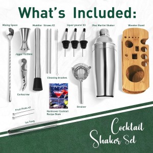 Cocktail Shaker Set Mixology Bartender Kit with Stand, 17 Piece Bar Tool Set: Martini Shaker, Jigger, Strainer, Mixer Spoon, Muddler, Liquor Pourers for Drink Mixing Bartending Kit(Silver)