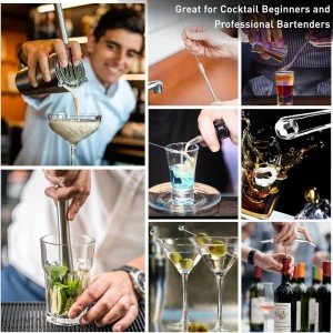 Cocktail Shaker Set Mixology Bartender Kit with Stand, 17 Piece Bar Tool Set: Martini Shaker, Jigger, Strainer, Mixer Spoon, Muddler, Liquor Pourers for Drink Mixing Bartending Kit(Silver)