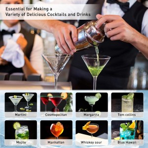 Cocktail Shaker Set Mixology Bartender Kit with Stand, 17 Piece Bar Tool Set: Martini Shaker, Jigger, Strainer, Mixer Spoon, Muddler, Liquor Pourers for Drink Mixing Bartending Kit(Silver)