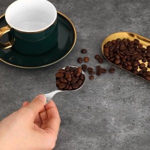 5 PCS Short Handle Spoons Silver Mini Scoops Stainless Spoons for Canisters Small Coffee Scoops Candy Scoops for Condiments Tea Desserts Coffee