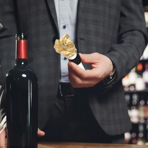 Gatuida Wine Aerator Pourer Lion Head Spout Bottle Pourers Stainless Steel Animal Bar Liquors Bottle Pourer Decorative Liquors Stopper for Red Wines Whiskey Golden, 10.00X3.50X2.50CM