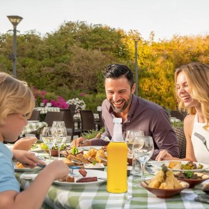 6 Pcs 32oz Plastic Long Neck Bottles with 6 Pcs Pourer and Caps,1000ml Plastic Juice Pour Bottles with Stainless Steel Bottle Pourer,Clear Empty Syrup Liquor Bottle with Tapered Spout for Bar