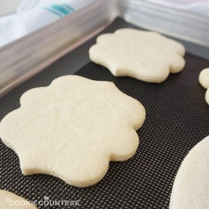 The Cookie Countess Small Mesh Non-Stick Baking Mats, Pack of 3-14.5