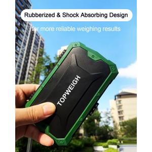 Pocket Scale, Dual Powered, Precision Gram Jewelry Scale with Zipper Case, Digital Small Coin Scale, Large Backlight Display, 500g x 0.01g, 6 Weighing Units,Cal Weight, USB Cable Included