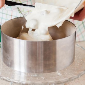 HARFINGTON 4PCS Round Cake Ring 5 x 2 Inch Seamless Stainless Steel Pastry Mousse Dessert Ring Mirror Coating for Baking Cooking Making Tool