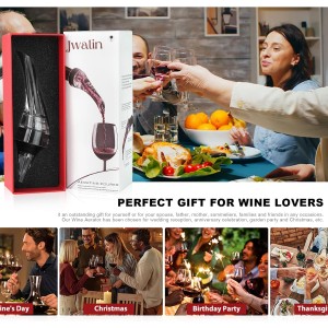 Wine Aerator and Pourer – Premium Air Decanter Spout to Enhance Wine Flavor & Aroma, No-Drip Wine Pourer Spout for Red & White Wines, Perfect Gift for Wine Lovers