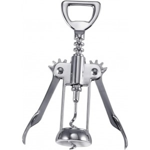 PRETYZOOM Plated Winged Wine Bottle Open...