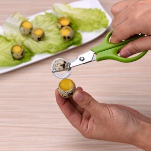 Stainless Steel Quail Egg Scissors,Egg Slicer Pigeon Clipper Shell Separato, Quail Egg Peeler Egg Cracker Pigeon Bird Quail,Quail Egg Scissors