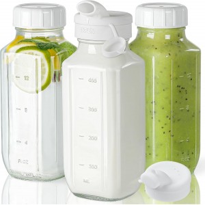 Syntic Glass Juice Bottles with Lids, 3 ...