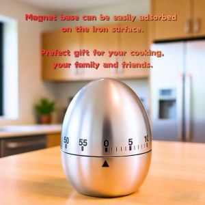 Stainless Steel Kitchen Timer Egg – Accurate Countdown Timer for Cooking, Metallic Silver Egg Shape, with Dual-Language Manual (English & Chinese)