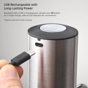 Rechargeable Electric Wine Aerator and Dispenser Set, Electric Wine Decanter with 2 Vacuum Wine Stoppers, Charging Base, Stainless Steel, Wine Pourer