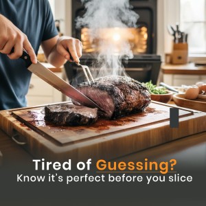 MeatStick V Wireless Meat Thermometer, 1200°F Heat Resistance, Unlimited Range WiFi & Bluetooth, Smart Digital Probe for Grilling, Smoking, Sous Vide, BBQ, Air Fryer, Oven, Smoker, Kitchen Cooking