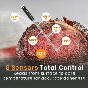 MeatStick V Wireless Meat Thermometer, 1200°F Heat Resistance, Unlimited Range WiFi & Bluetooth, Smart Digital Probe for Grilling, Smoking, Sous Vide, BBQ, Air Fryer, Oven, Smoker, Kitchen Cooking