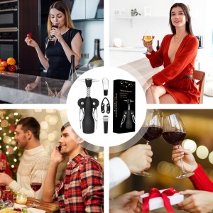 Cork Screw Wine Bottle Opener - Corkscrew Wine Opener Set, 4 Piece Stainless Steel Wine Opener Kit | Durable Wing Corkscrew, Wine Bottle Opener, Heavy-Duty Cork Remover for Home, Kitchen, Restaurants