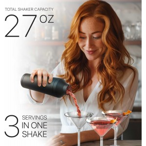 BARE BARREL Insulated Cocktail Shaker Set | Double Wall Stainless Steel | Martini Shaker for Home Bar Bartending | Built-in Drink Measure System & Strainer, Travel Bag, Recipes | Gift Set (Matt Black)