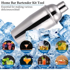 Cocktail Shaker Set, 19 Piece Bartender Kit, Silver, Bar Tool Set with Cocktail Shaker, Mixer Spoon, Measuring Cup, Strainer, Muddler, Corkscrew, Tongs