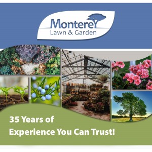 Monterey Garden Measure Spoon, 1 Side Teaspoon, 1 Side Tablespoon