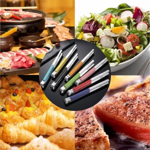 10 Pack Stainless Steel Kitchen Tong, 10 inch Heavy Duty Serving Tong with Heat-Resistant Handle, Grill Clamp Beefsteak Clip in 10 Colors for Cooking, BBQ, Meat, Salad, Ice
