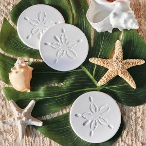 Kate Aspen Absorbent Sand Dollar Drink Coasters Set of 4– Coastal Decor, Nautical Home Decorations, Housewarming Gift, & Beach Themed Coasters for Drinks