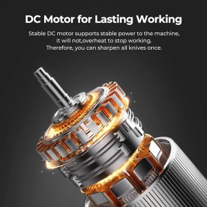 Electric Knife Sharpener, Professional Kitchen Knife Sharpener for Home Use, 2 Stages of Coarse Sharpening & Fine Polishing, Metal Dust Collection Box for Easy Cleaning, Silver Gray