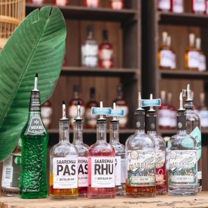 72 Pcs Stainless Steel Pour Spouts for Liquor Bottles with Rubber Dust Caps Tapered Bottle Pourers for Alcohol Olive Oil Wine Syrup Whiskey Bar Bartending Accessories