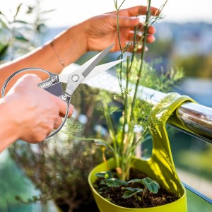 Silver Kitchen Scissors -Heavy Duty & All Purpose shears, Stainless Steel, Ideal for office & Home Use, Industrial Grade