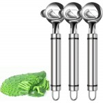 Cactus Peeler Tool, 3 Pack Stainless Steel Pelador de Nopales, Spoon Cactus Thorn Removal Tool, 7.48x1.89in Portable Tools for Kitchen Accessory