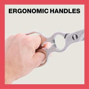 Kitchen Scissors – Heavy-Duty All-Stainless Steel Shears with Forged 3Cr14 Blades, Come-Apart Design, Rust-Resistant Electropolished Finish, Multi-Purpose Nutcracker & Bottle Opener