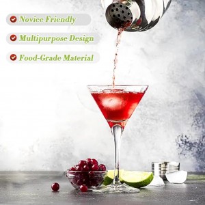 Cocktail Shaker,Drink Mixer with Built-in Strainer for Mixing Drinks Margaritas,Beginner Friendly Mixer Bar Utensil Tool (Sliver-01)