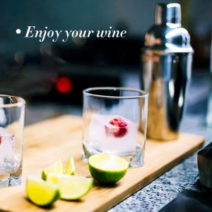 Cocktail Shaker,Drink Mixer with Built-in Strainer for Mixing Drinks Margaritas,Beginner Friendly Mixer Bar Utensil Tool (Sliver-01)