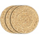 Boho Trivets for Hot Dishes, Pots and Pans, Farmhouse Water Hyacinth Hot Pads 8 Inch, Straw Pot Holders for Kitchen, Rustic Braided Heat Resistant Mat, Jute Coasters Set Wicker Decor (Natural 3 Pcs)