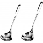 Stainless Steel Soup Ladle Oil Separator Gravy Food Skimmer Spoon Set of 2 Pcs, Kitchen Oil Filter Spoon Gravy Separator Ladle for Cooking(SIZE:2 Pcs)