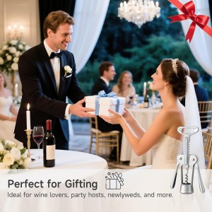 Wine Opener,Heavy-Duty Zinc Alloy Wing Corkscrew Wine Bottle Opener with Sharp Spiral Screw,Round Handles,Matte Silver