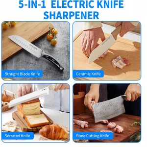 Professional 5-in-1 Electric Knife Sharpener with LCD Display,Scissor Sharpener with 3-Speed & 100% Diamond Abrasives - Precision Angle Guides for Straight, Serrated, Cleaver & Kitchen Scissors