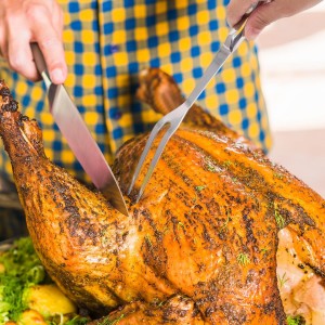 LOGJAM 3PCS Two Pronged Meat Carving Fork, Stainless Steel Grill Fork for Kitchen & Serving