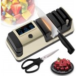 Professional 5-in-1 Electric Knife Sharpener w/LCD, Scissor Sharpener with 3-Speed & 100% Diamond Abrasives -Precision Angle Guides Sharpens Straight, Serrated, Cleaver Knives