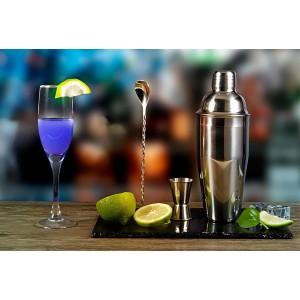 Cocktail Shaker Set, 6-Piece 24oz Shaker Strainer Muddler Jigger Mixing Spoon Pourers (Set of 6)