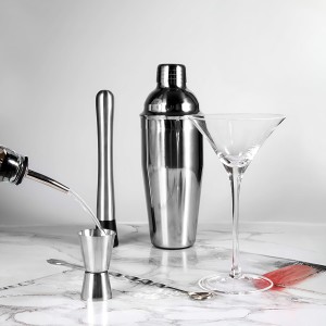 Cocktail Shaker Set, 6-Piece 24oz Shaker Strainer Muddler Jigger Mixing Spoon Pourers (Set of 6)