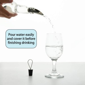 Stainless Steel Wine Aerator and Pourer Set, 5-Piece 2-in-1 Wine Spout with Silicone Bottle Stopper, Premium Silver Wine Accessories for Home Bar, Elegant Gift Box, No-Drip Pouring & Enhanced Flavor