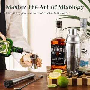 Cocktail Shaker Set,24-Piece Bar Bartender Kit with Stand,Martini Shaker,Jigger,Strainer,Mixer Spoon,Muddler,Liquor Pourers,Tongs,Opener,LCE Ball Mold&LCE Cubes,Bottle Stoppers|Silver