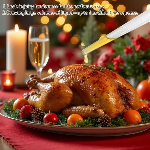 2Set Large Turkey Baster for Cooking - Premium Baster Syringe for Hot Liquids, Heavy-Duty Baster for Cooking Perfect for Barbecue,Meat Baster,Gravy, Marinades(Black)