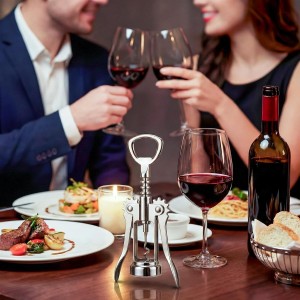 Hushee 10 Pcs Wine Bottle Opener, Zinc Alloy Wing Corkscrew Heavy Duty, Multifunctional Wine Corkscrew for Kitchen, Restaurant, Bar, Waiters, Ideal for Wedding Shower Party Favors, Event Gifts