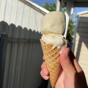 Ice Cream Scoop Set, Stainless Steel Ice Cream Scoop with Trigger Release, Ic-e Crea-m Ball Making Scooper Old Time Cylindrical Scooper for Fruits Mashed Potatoes(COLOR:Silver)